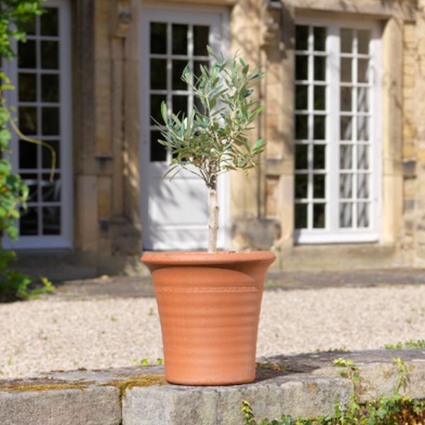 Ribbed Flowerpot Small